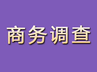 华池商务调查